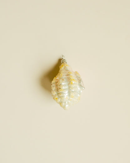 Shell Ornaments Set of 2
